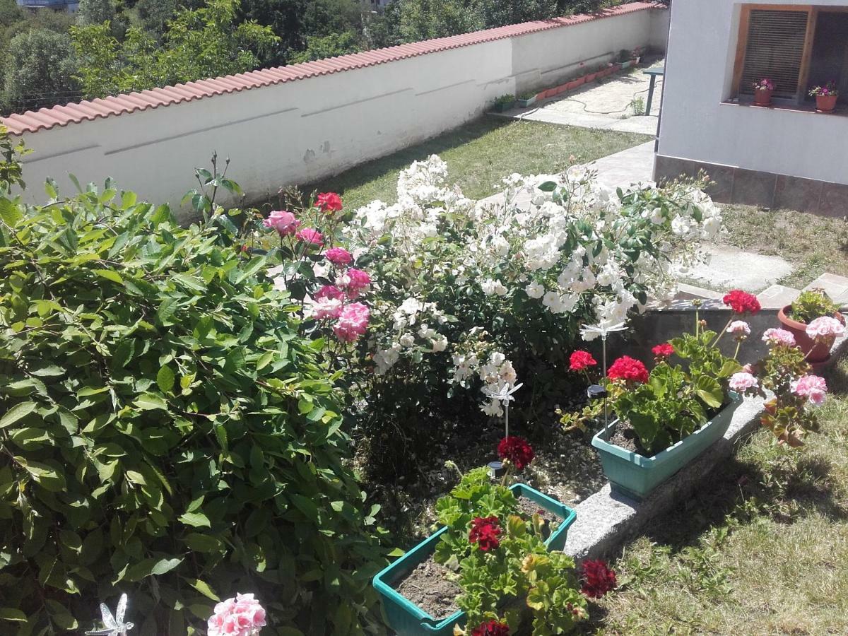 Hotel Aleksievata Kashta Gurgulyat Zewnętrze zdjęcie